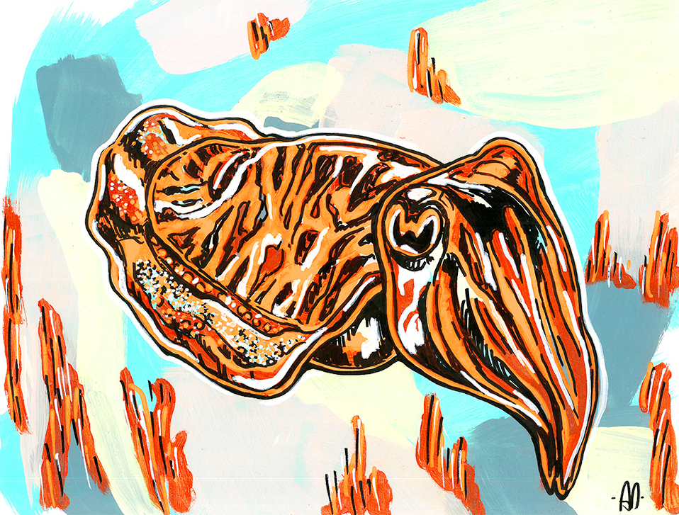 Art print - Vintage cuttlefish